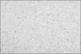 Термотрансферная пленка NOVA-FLEX GLITTER 6001 белая, сверкающая с блёстками, 0,50 x 5 м  - фото 2                                    title=