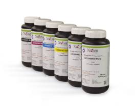 Nazdar 260 Series Yellow UV/LED DX5								