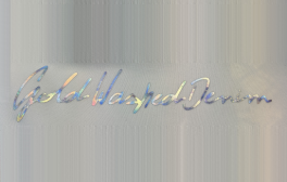 Термопленка NOVA-FLEX PU SOFT, 6281 - спектр (радужный), 0.50 х 25 м - фото 3                                    title=